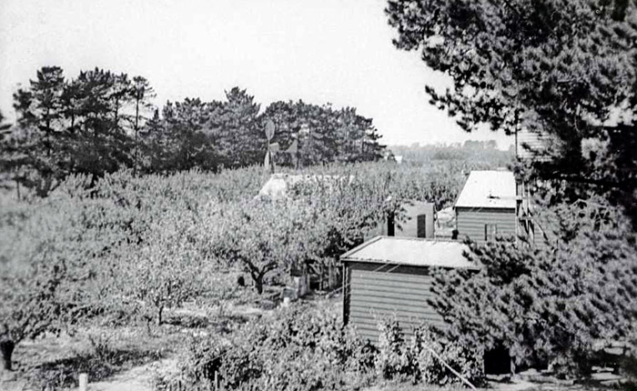 Strathdon House and Orchard