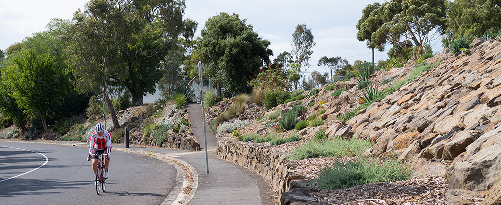 Yarra Boulevard dry stone wall rebuilding