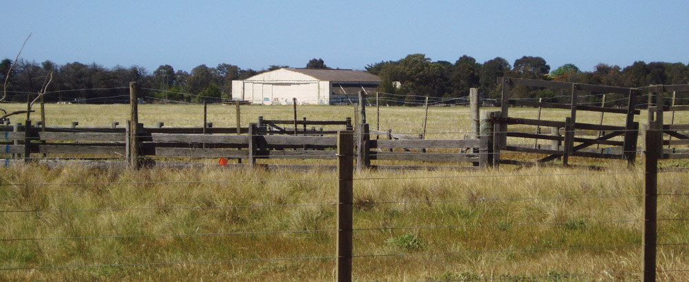 Aircraft hangars